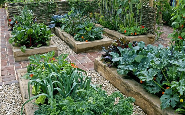 Edible Gardens